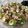maribel1980's cooksnap of when they made Camarones Aguachile.