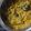 kalpana prasad का कुकस्नैप जब उन्होंने चना की दाल की लौकी (chana ki dal ki lauki recipe in Hindi) बनाया था।