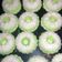 Cooksnap dari nuri aji untuk resep Putu ayu simple