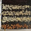 Cooksnap dari Nathalia Lasut untuk resep Fudgy Brownies Shiny Crust