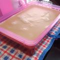 Cooksnap dari Rindi Antika untuk resep Agar gula merah