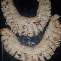 El cooksnap de Yessi cuando hizo Roscas de chicharrones.