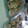 El cooksnap de gloria cuando hizo Zapallitos rellenos de carne picada y salsa blanca.