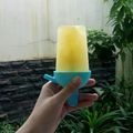 Cooksnap dari Sabrina untuk resep Es Loli Orange