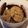 El cooksnap de Rosa Valentina Ferreyra cuando hizo Galletitas de Avena y Miel con chips de chocolate.