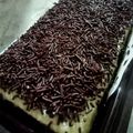 Cooksnap dari Atik Ara untuk resep Brownis kukus 2 telur
