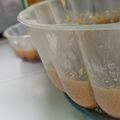 Cooksnap dari Emi Suhaemi untuk resep Puding lumut gula merah