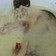 Cooksnap dari Fariz Baju Branded untuk resep Opor ayam Kuning 