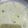 Sneh Saini's cooksnap of when they made Lauki ki kheer.