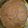 El cooksnap de Eugenia cuando hizo Galletitas de chocolate rústicas!!!😁.