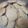 El cooksnap de LAURA GARCIA cuando hizo Cookies!.