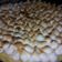 El cooksnap de Ariiana darlene🖤 cuando hizo Lemon pie !!.