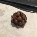Cooksnap de petitepausecuisine sur la recette Pommes de pin 🌲