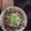 El cooksnap de David cuando hizo Ensalada de Atun.