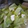 Cooksnap dari Sevti Wijaya untuk resep Tumis Labu Siam Udang