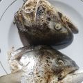 Cooksnap dari Ellis Ho untuk resep Grilled Salmon Head / Kepala Salmon Panggang Mudah Sehat Lezat