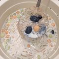 Cooksnap dari Maria Effendi untuk resep Sop Buah Kekinian (Xi Mi Lu)
