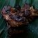 Cooksnap dari ZAEDAN ALI untuk resep Iga bakar bumbu lada hitam simple