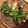Sophie V.'s cooksnap of when they made Thunfischboden Pizza mit Tomate Rucola 🌿.