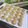 Cooksnap Hazwani semasa beliau membuat Soft Cookies Chocolate Chips.