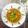 SugunaRavi Ravi's cooksnap of when they made பலாக்காய் கிரேவி(raw jackfruit gravy recipe in tamil).