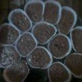 El cooksnap de Yamii cuando hizo Muffins de vainilla y chocolate😉.
