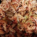 El cooksnap de Angie Perálvarez Fernández cuando hizo Macarrones con salchichas.