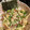 vamshi vutla's cooksnap of when they made Tuna Mayo & Avocado Sushi Rice Bowl.