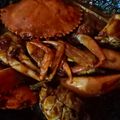 Cooksnap dari witda ayu lis yuniar untuk resep Kepiting saus tiram /asam manis pedas