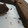 El cooksnap de Stela M Corral cuando hizo Fudgy brownies🍫.
