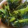 Cooksnap dari Kristine Veronika widjaya untuk resep Tumis Kangkung Manado