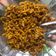 Cooksnap dari Hanif Arham untuk resep Mie Iblis ala Mie Gacoan/Mie Kober