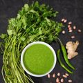 Sonal Gaurav Suthar's cooksnap of when they made કોથમીર લસણ ની ચટણી (Kothmir Lasan Chutney Recipe In Gujarati).