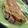 El cooksnap de Luna Ariana cuando hizo Omelette abierto.
