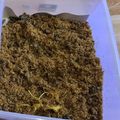 Cooksnap dari Victoria Dewi P untuk resep Serundeng Daging Sapi Tahan Lama