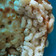 Vera Cooksnap-ja, amikor elkészítette a(z) Mac and cheese (sajtos tészta) recept receptet.