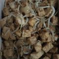 Cooksnap dari Kadindaa untuk resep Tahu tauge saos tiram