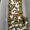 Folmeg Mónika Cooksnap-ja, amikor elkészítette a(z) Mascarponés spenóttal töltött cannelloni receptet.