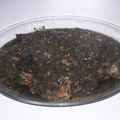 کوک اسنپ مرجان درزی بعد از امتحان کردن مرغ ترش مامان زهره (مازندرانی).