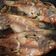 Cooksnap dari Diptia Zandra untuk resep Steamed Fish / Tim Ikan