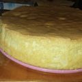El cooksnap de Alicia Rodriguez cuando hizo Bizcochuelo bien alto 😉. Especial para tortas.