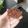 El cooksnap de anna cuando hizo Muffins de Chocolate (Nesquik).