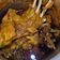 El cooksnap de Selene Hermosillo cuando hizo Jabalí guisado.