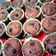 Cooksnap dari Shinta Makarim untuk resep Muffin coklat tanpa mixer