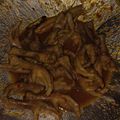 Cooksnap dari Citha Saras untuk resep Ceker mercon