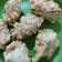 Cooksnap dari Bunda Affi untuk resep Tahu Walik Aci