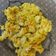 La cooksnap de Mis recetas saludables cuando cocinó Arroz con pollo al curry