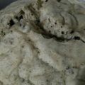 Cooksnap dari Emma Fenfen untuk resep Bolu kukus oreo