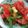 Cooksnap dari Rejeki 2021 untuk resep 59. Caprese tomato salad (salad tomat ala italy)