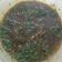 Parul B Modha's cooksnap of when they made લસુની પાલક ટમેટાની ભાજી (Lasuni Palak Tomato Bhaji Recipe In Gujarati).